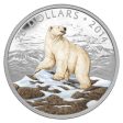 2014 Canada $20 Iconic Polar Bear Fine Silver Coin (TAX Exempt) on Sale