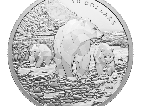 RDC 2023 Canada $30 Multifaceted Animal Family: Grizzly Bears Fine Silver (No Tax) dented sleeve on Sale