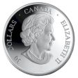 RDC 2006 $30 Canadian Achievements - Canadarm & Col Hadfield Sterling (Impaired) Discount