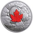 2017 Canada $20 Majestic Maple Leaves with Drusy Stone Discount