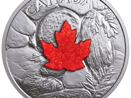 2017 Canada $20 Majestic Maple Leaves with Drusy Stone Discount