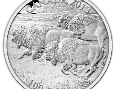 RDC 2013 Canada $100 Bison Stampede ($100 for $100) Fine Silver (No Tax) - Impaired For Discount