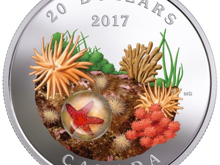 RDC 2017 Canada $20 Under the Sea - Sea Star Fine Silver (Issues) Hot on Sale