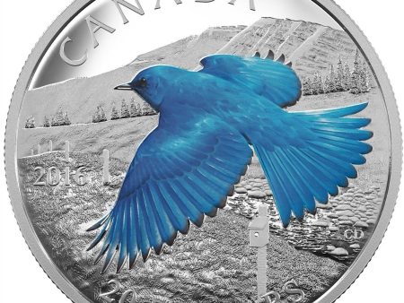 RDC 2016 Canada $20 Migratory Birds: Mountain Bluebird (No Tax) Impaired Cheap