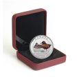 RDC 2015 $10 Ducks of Canada - Cinnamon Teal Duck Fine Silver (No Tax) Worn Case Hot on Sale