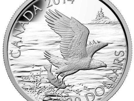 RDC 2014 Canada $20 Bald Eagle Fine Silver (No Tax) Lightly Toned Cheap