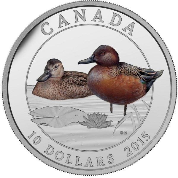 RDC 2015 $10 Ducks of Canada - Cinnamon Teal Duck Fine Silver (No Tax) Worn Case Hot on Sale