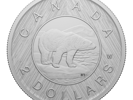 RDC 2023 Canada $2 Tribute: W Mint Mark - Polar Bear Fine Silver (No Tax) missing sleeve Online