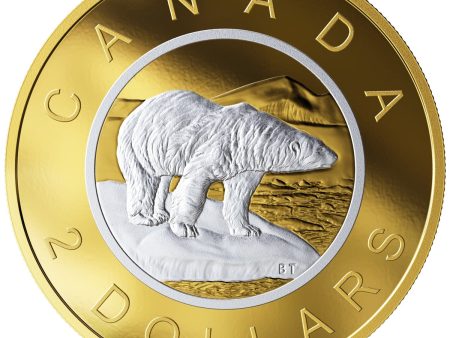 RDC 2019 Canada $2 Big Coin Reverse Gold Plated 5oz Fine Silver (No Tax) toning Online