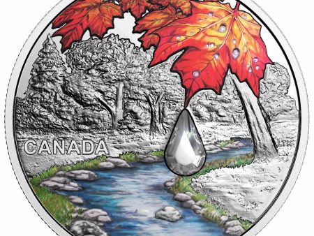 2017 Canada $20 Jewel of the Rain - Sugar Maple Leaves Fine Silver Supply