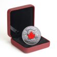 2017 Canada $20 Majestic Maple Leaves with Drusy Stone Discount