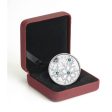 RDC 2011 Canada $20 Small Crystal Snowflake - Montana Fine Silver (No Tax) Impaired For Cheap